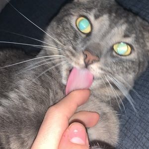 Meet your Posher, Jesse